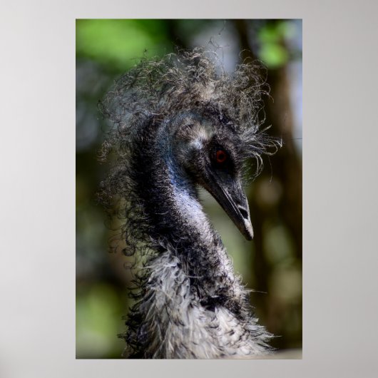 プリント、バリューポスター紙（マット） ポスター (正面)