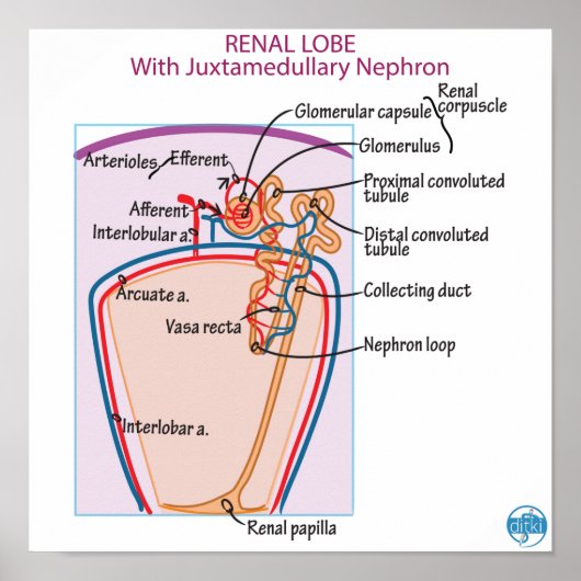 プリント、バリューポスター紙(マット) ポスター (正面)