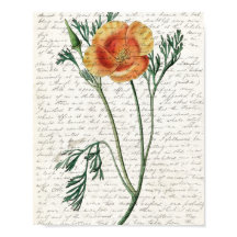 プリント、バリューポスター紙（マット）