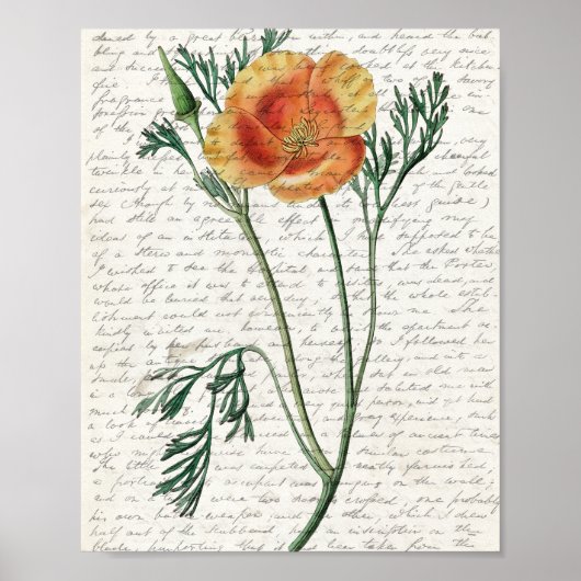 プリント、バリューポスター紙（マット） ポスター (正面)