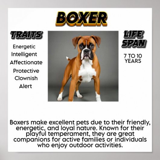 プリント、バリューポスター紙(マット) ポスター (正面)