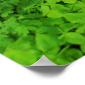 プリント、バリューポスター紙(マット) ポスター (角)