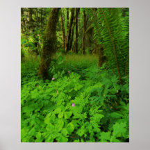 プリント、バリューポスター紙（マット）