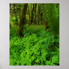 プリント、バリューポスター紙（マット） ポスター