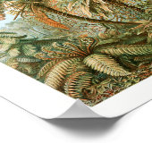 プリント、バリューポスター紙(マット) ポスター (角)