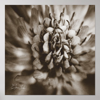 プリント、バリューポスター紙（マット） ポスター