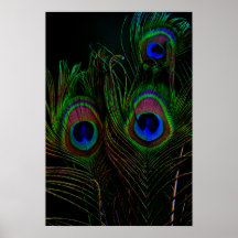 プリント、バリューポスター紙（マット）