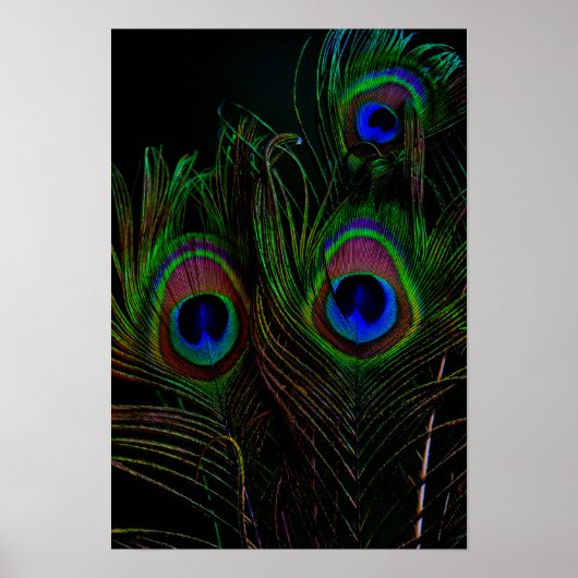 プリント、バリューポスター紙（マット） ポスター (正面)