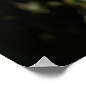 プリント：マラヤンタイガー ポスター (角)