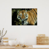 プリント：マラヤンタイガー ポスター (キッチン)