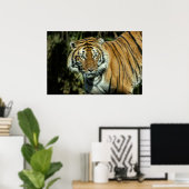 プリント：マラヤンタイガー ポスター (ホームオフィス)