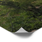 プリント:ヴァージン川&ウォッチマン2 ポスター (角)