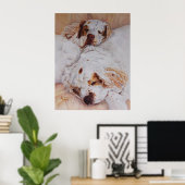 プリント-心地よい- 2つのクランバースパニエル犬 ポスター (ホームオフィス)