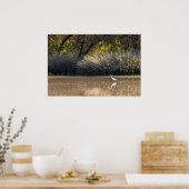 プリント：池2のエグレット狩り ポスター (キッチン)