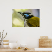 プリント：青い顔を持つホネーター#1 ポスター (キッチン)