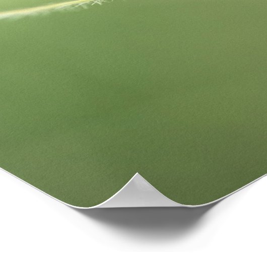 プリント: Apache Plume ポスター (角)