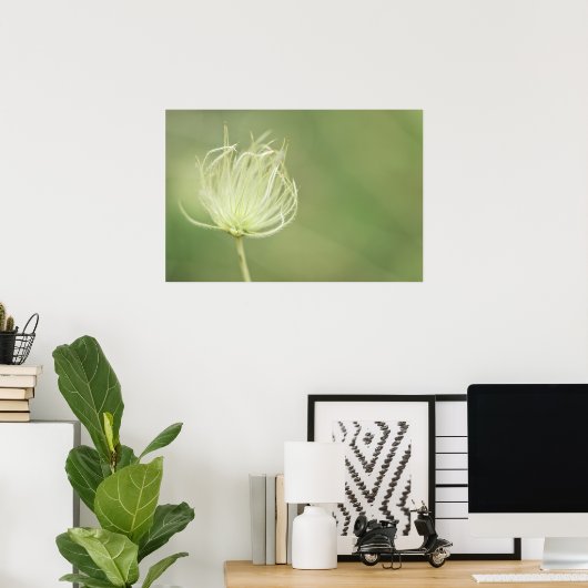 プリント: Apache Plume ポスター (ホームオフィス)