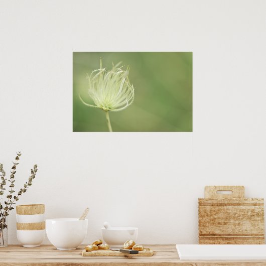 プリント: Apache Plume ポスター (キッチン)