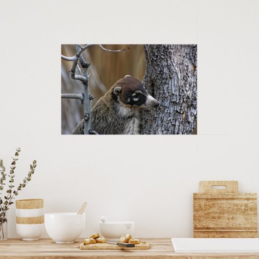 プリント: Coatimundi #2 ポスター (キッチン)