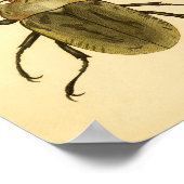 プリント『ENTOMOLOGIE IV』 ポスター (角)