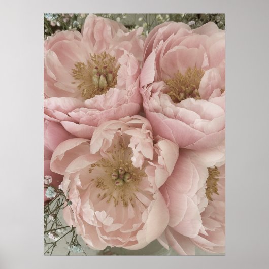プリント | Peonies I - 24in x 32in (正面)