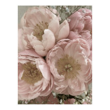 プリント | Peonies II - 24in x 32in