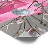 プリント | Peonies II (30"x30") (角)