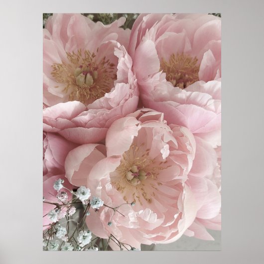 プリント | Peonies III - 24in x 32in (正面)