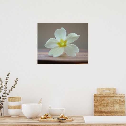 プリンローズ ポスター (キッチン)