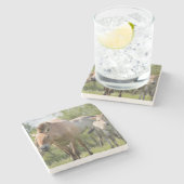 プルゼワルスキーズホースとフォール歩く ストーンコースター (横)