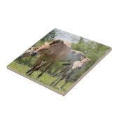 プルゼワルスキーズホースとフォール歩く タイル (側面)