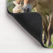 プルゼワルスキーズホースとフォール歩く マウスパッド (コーナー)