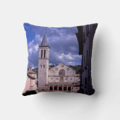 プルトウンブリア島イタリア クッション (裏面)