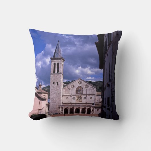 プルトウンブリア島イタリア クッション (正面)