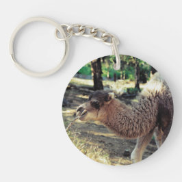 プルニママ キーホルダー