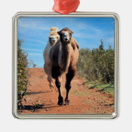 プルニママ&デラニー メタルオーナメント