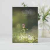 プルネラフラワー自然写真 カード (スタンド正面)