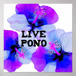 プルプルブルーのハワイアンハイビスカスの花 Live Pono ポスター