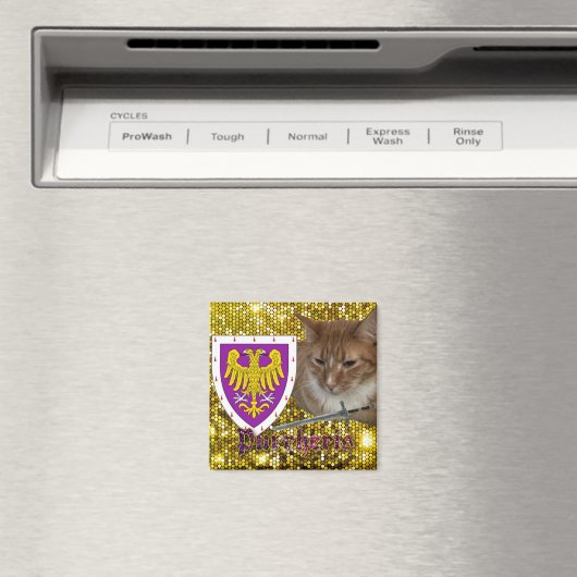 プルヘリス磁石 マグネット (インサイチュ (食洗機))