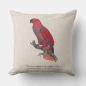 プルミエールヴァリエデュグランドロリ クッション (正面)