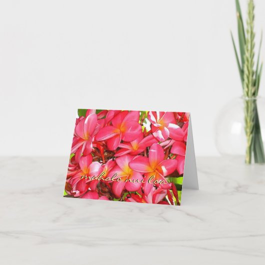 プルメリアありがとう サンキューカード (正面)