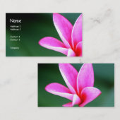 プルメリアのプロフィールカード 名刺 (正面/裏面)