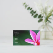 プルメリアのプロフィールカード 名刺 (スタンド正面)