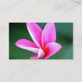 プルメリアのプロフィールカード 名刺 (裏面)