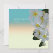 プルメリアのレイ トロピカル フォト アナウンスメント 案内状 (裏面)