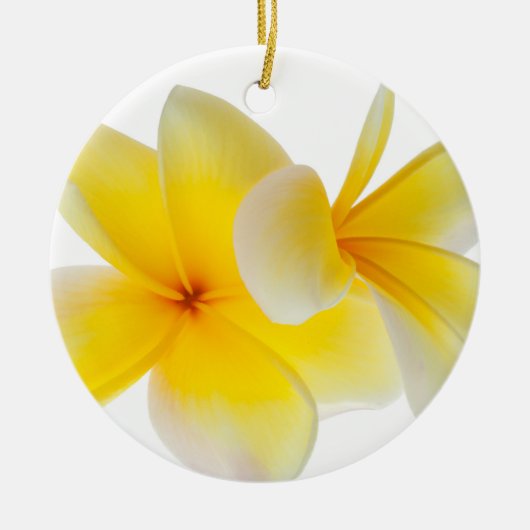 プルメリアの花のハワイの白く黄色いFrangipani セラミックオーナメント (正面)