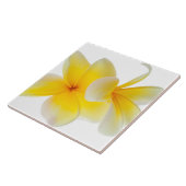 プルメリアの花のハワイの白く黄色いFrangipani タイル (側面)