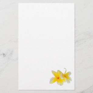プルメリアの花のハワイの白く黄色いFrangipani 便箋