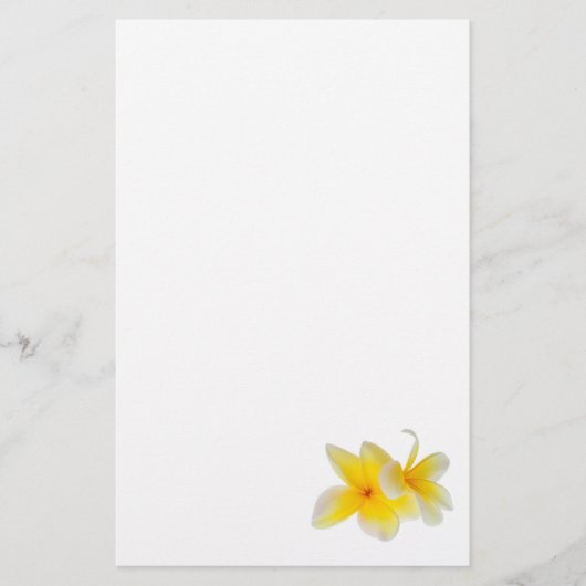 プルメリアの花のハワイの白く黄色いFrangipani 便箋 (正面)