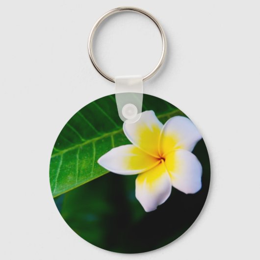 プルメリアの花の写真 キーホルダー (正面)